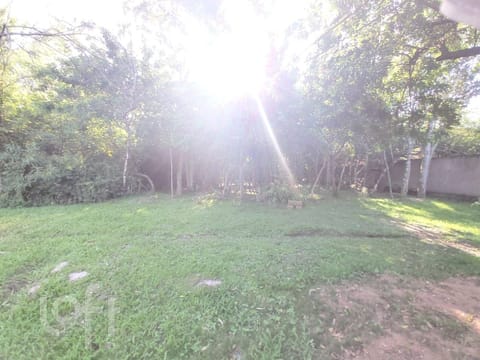 Image 44 - 239663